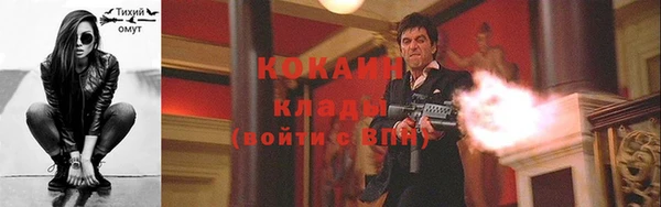 гашик Алзамай