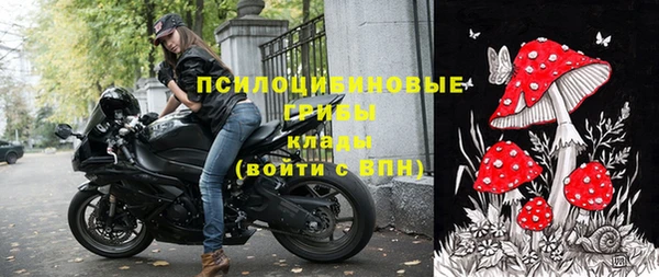 гашик Алзамай