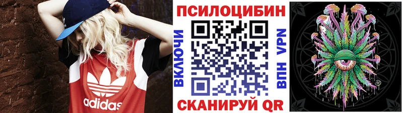 цена наркотик  Бирюч  Галлюциногенные грибы GOLDEN TEACHER 